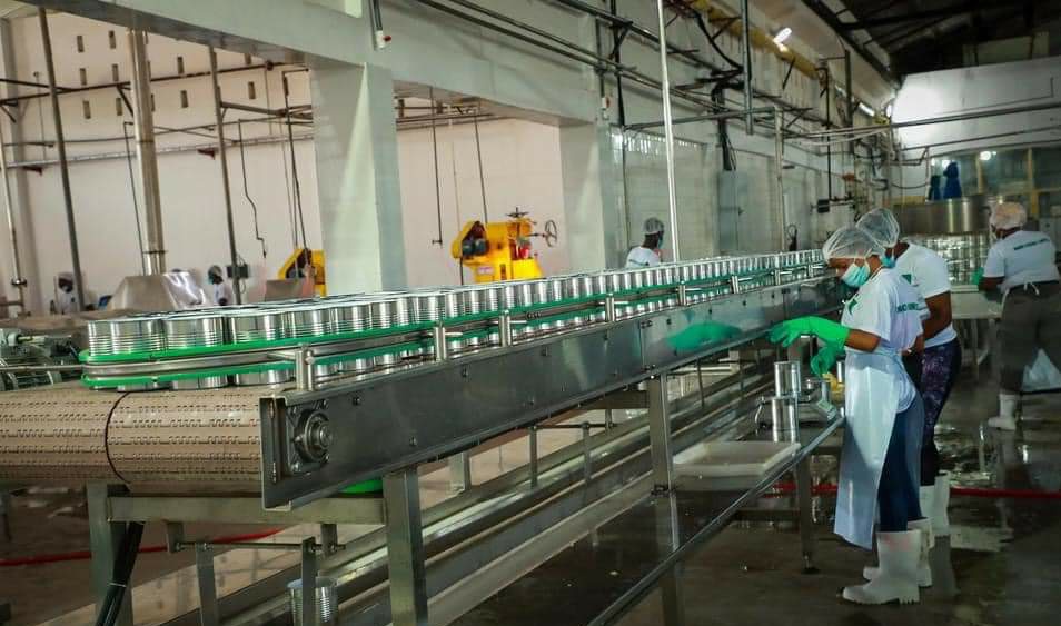 Nano Foods Limited, has been revitalised as a food processing company in Nsawam under the One District, One Factory (1D1F) programme in Ghana🇬🇭. 
The company came out of the defunct ASTEK Refresh Pineapple Juice Company in the 1980s and 1990s.