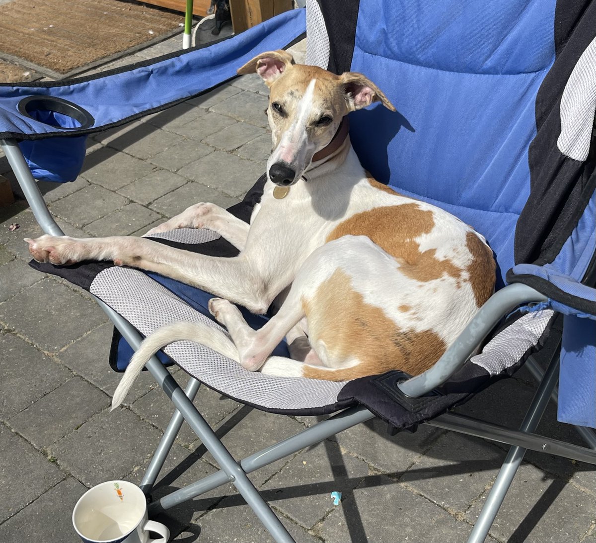 If you leave your chair in this place, expect to have it taken immediately… Wilfred - 😃😃😂😂😎😎 thanks mum xxx