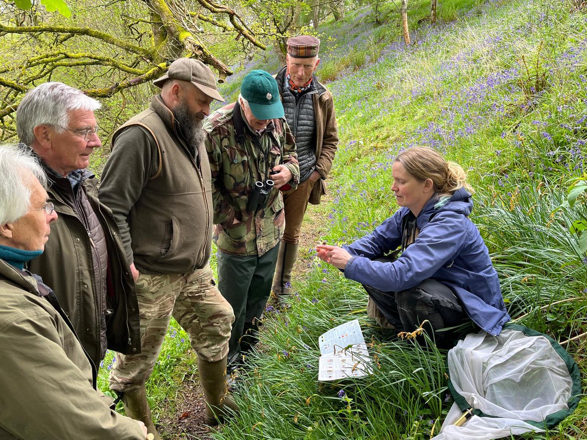 Buglife #BLines Officer, Rachel, recently joined the #LunanBurn #WildlifeCluster to talk #pollinators! 🐝The group spent time discussing what can be done on, & across, Scottish farms to support both pollinators & wider #invertebrate species. 👏Thanks to everyone who attended!