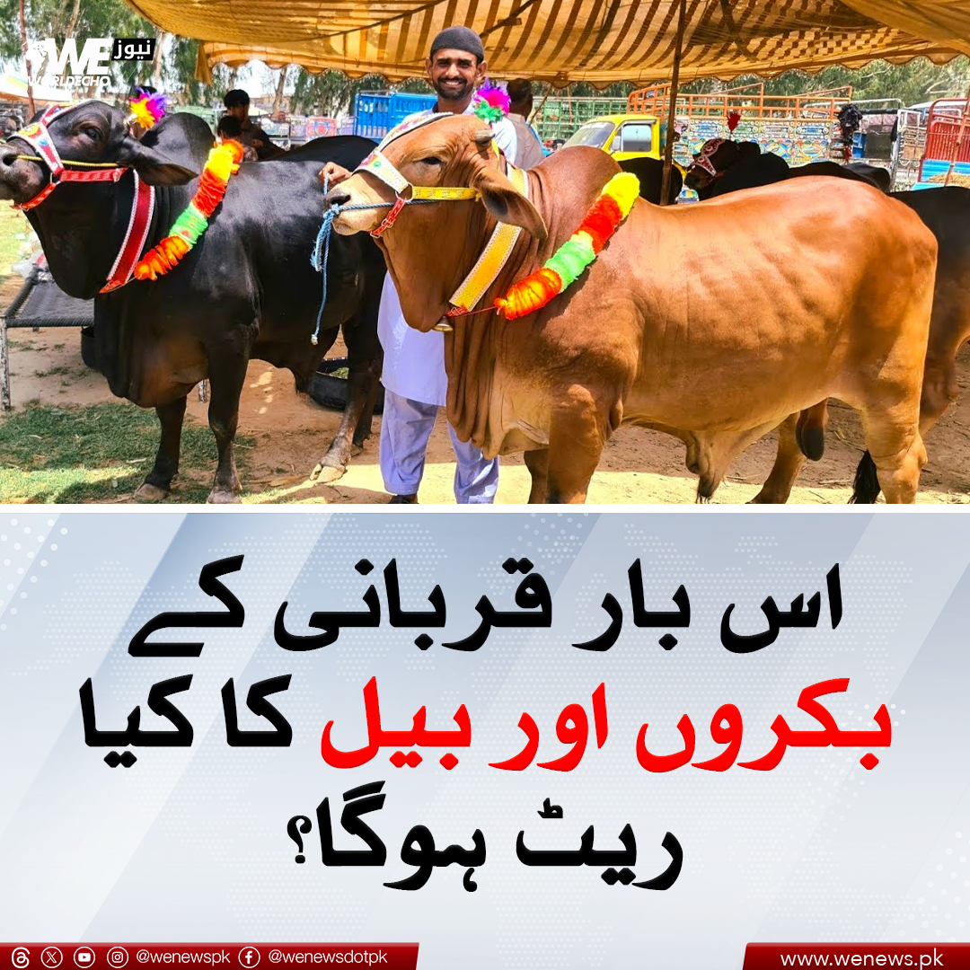 اس بار قربانی کے بکروں اور بیل کا کیا ریٹ ہوگا؟
مزید جانیں: wenews.pk/news/164362/
#WENews #Eid2024 #Animals