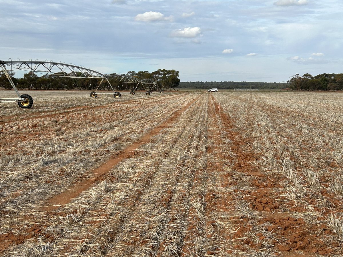 Justin Kudnig tweet media