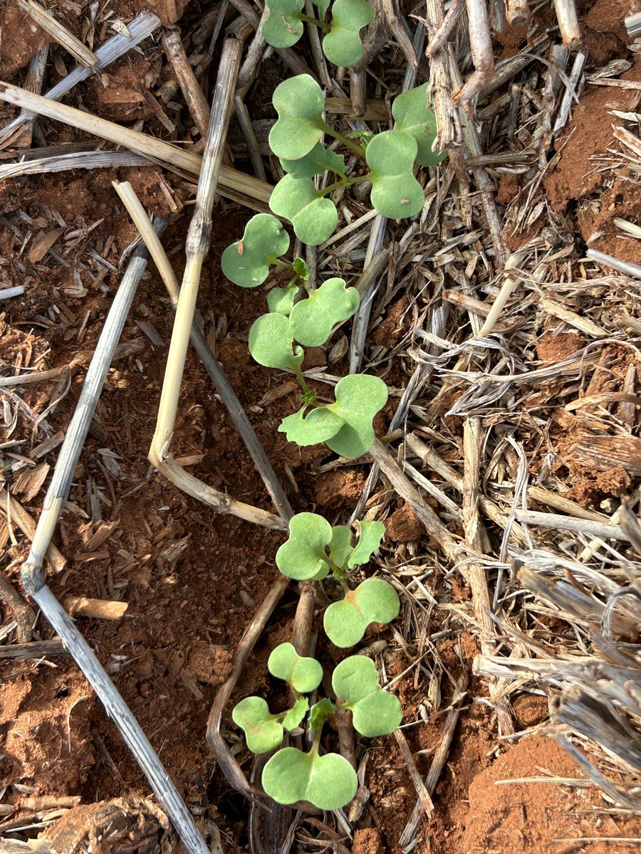 Justin Kudnig tweet media