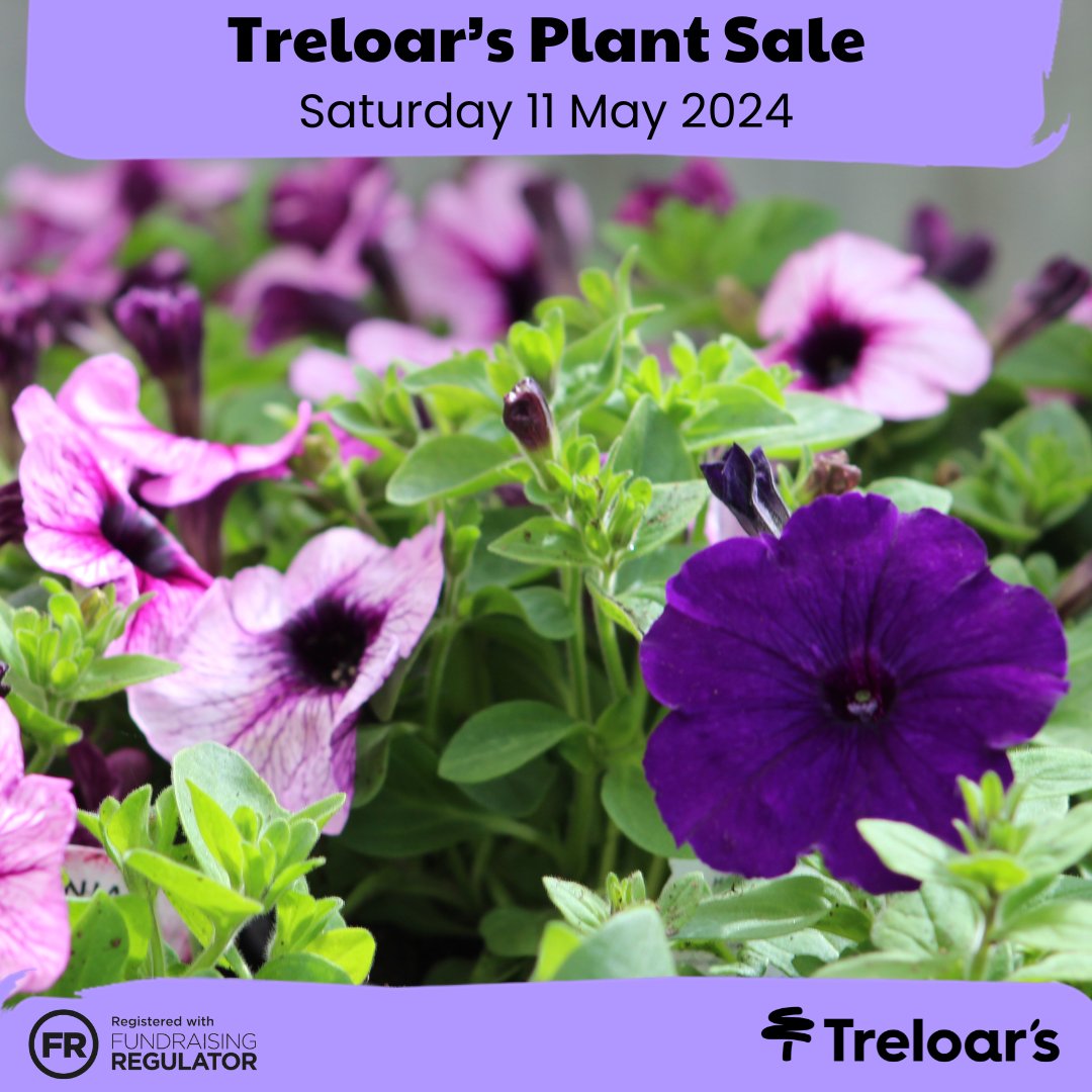 It’s time to give your garden a makeover: the Friends of Treloar’s Plant Sale is happening this Saturday! Join us in our Outdoor Learning Centre from 10 am for a delightful selection of plants grown by our students. Admission is free 👉treloar.org.uk/events/plant-s…