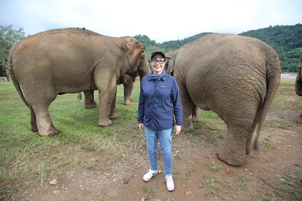 NEW ON TV - SUE PERKINS: LOST IN THAILAND
Thailand is a popular choice for TV viewers at the moment, hot on the heels of Race Across The World crossing the country, this Friday Channel 5 airs the first of a three part series, ' Friday, May 10th at 9pm on Channel 5.