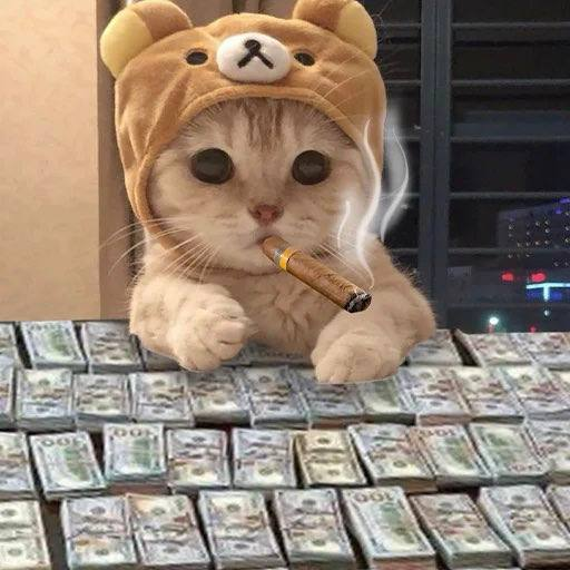 JiaSolana's tweet photo. Better not fumbling gen wealth 😻😸 https://t.co/0lAgUCtRLJ
