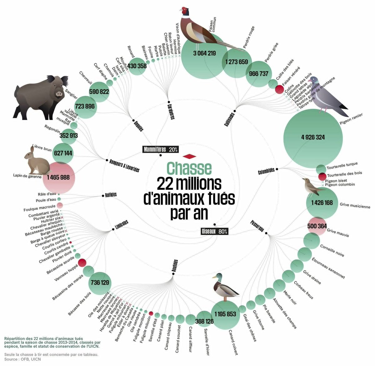 Les chasseurs français tuent plus de 22 millions d’animaux par an.  

#france #ruralité #ruralitéAntichasse #antichasse #chasseurTueur #chasseperversion #TuerEstLeurPlaisir #animaux #biodiversité