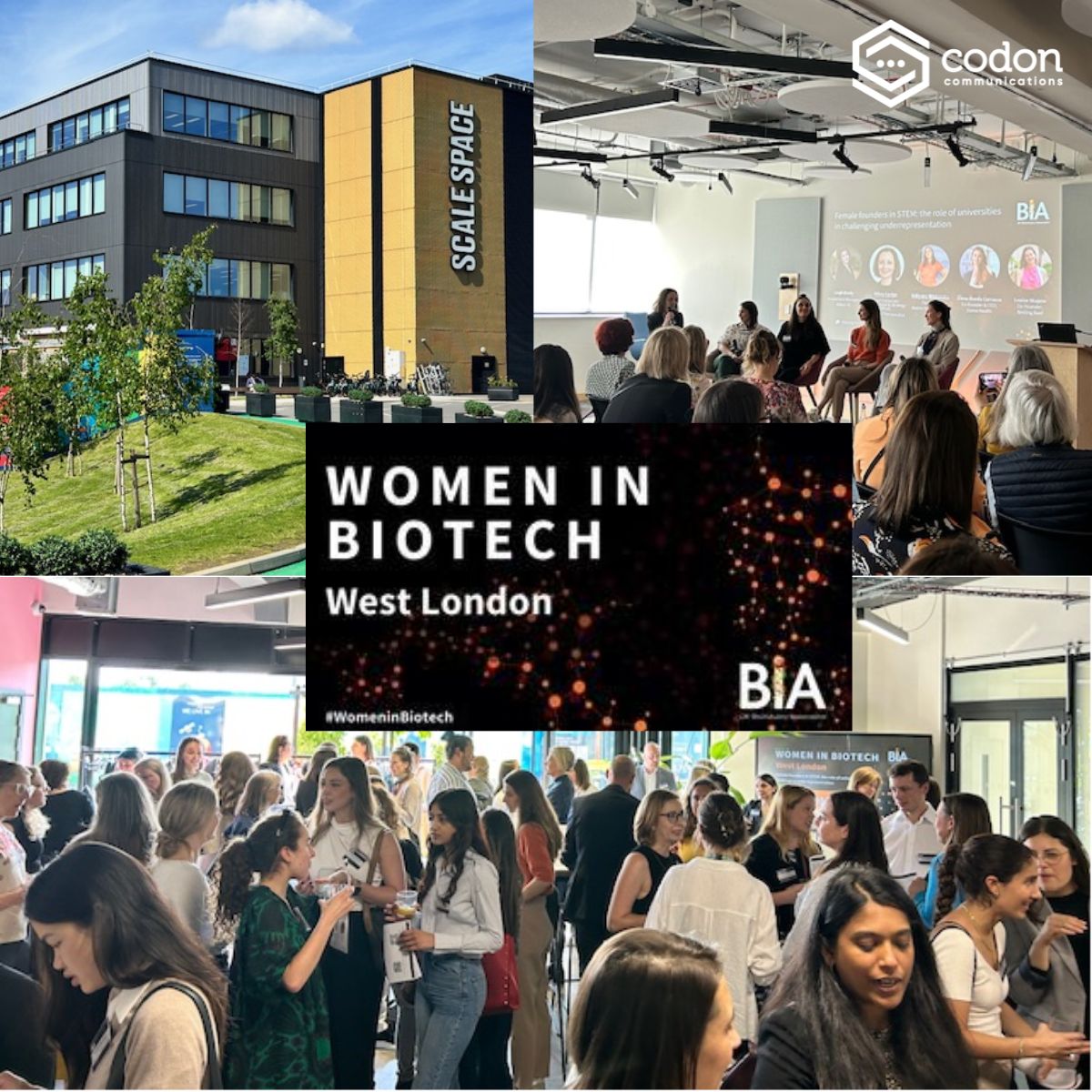 What a remarkable panel of #FemaleFounders in #STEM at the @BIA_UK #WomeninBiotech — West London @scale_space yesterday! Thank you for sharing your inspirational stories 🌟

#womeninscience #biotech #medtech #messengersinscience