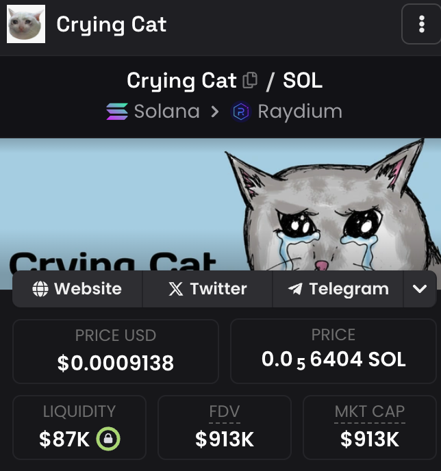 haze0x's tweet image. 看到了这个猫，挺符合当前的心境。买点好了,反正每天都在亏钱，不差这一个了。 $crying cat 。