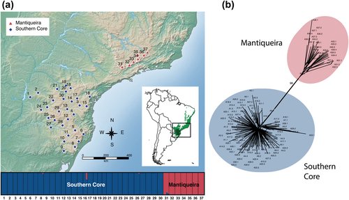 NYBG Curator @pedoconnective & colleagues' new #scipub 'Evaluating the impact of historical climate and early human groups in the Araucaria Forest of eastern South America' has been published in Ecography! 🌲 Read more here --> brnw.ch/ara #NYBGscience 🌎