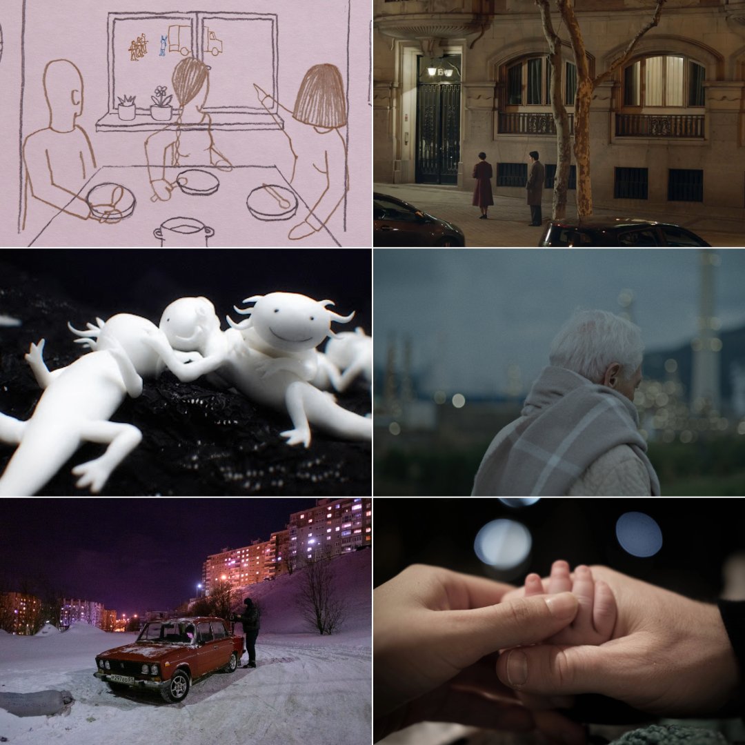 Last chance to book Europe Day at CIFF: In Cinema Programme❗️ Discover a diverse array of European short films, from Arctic mysteries & axolotls to childbirth realities & poetic architecture. Don't miss out! 🎟 ⁠ 6.15pm TODAY @arccinemacork ⁠ ⁠ 👉l8r.it/Xtj3
