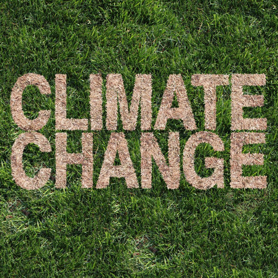 Climate change is a pressing issue. Southbridgehrn is at the forefront of climate research, developing solutions for a healthier planet. Let's work together to combat climate change. #climateaction #climateresearch buff.ly/3wyJdNK