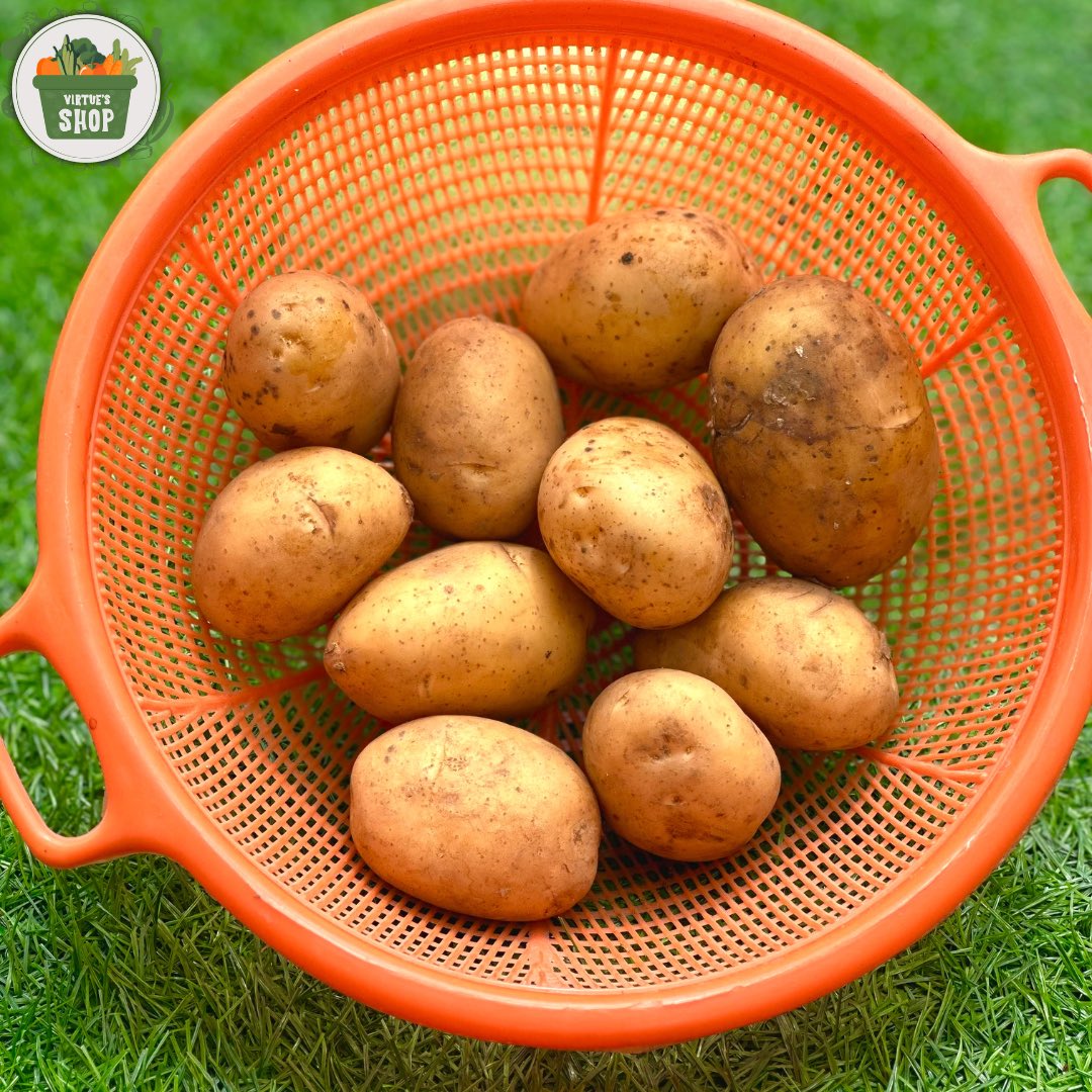 VirtuesShop's tweet photo. Fresh from the farm and ready to be mashed, roasted, or fried! 

Potatoes are in season and perfect for any side dish.  

Click link in bio to add to cart 🛒
#virtuesshop #bulkshopping #groupshopping https://t.co/6lXj8H45UE