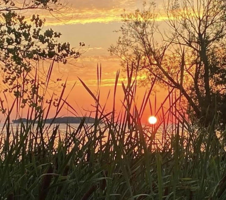The Middle Bass Island ferry schedule changes effective May 10 ~ we'll be running trips daily. Visit MillerFerry.com for the full schedule, free parking info & more about the Lake Erie Island of Middle Bass, Ohio. 📸 Middle Bass sunset view