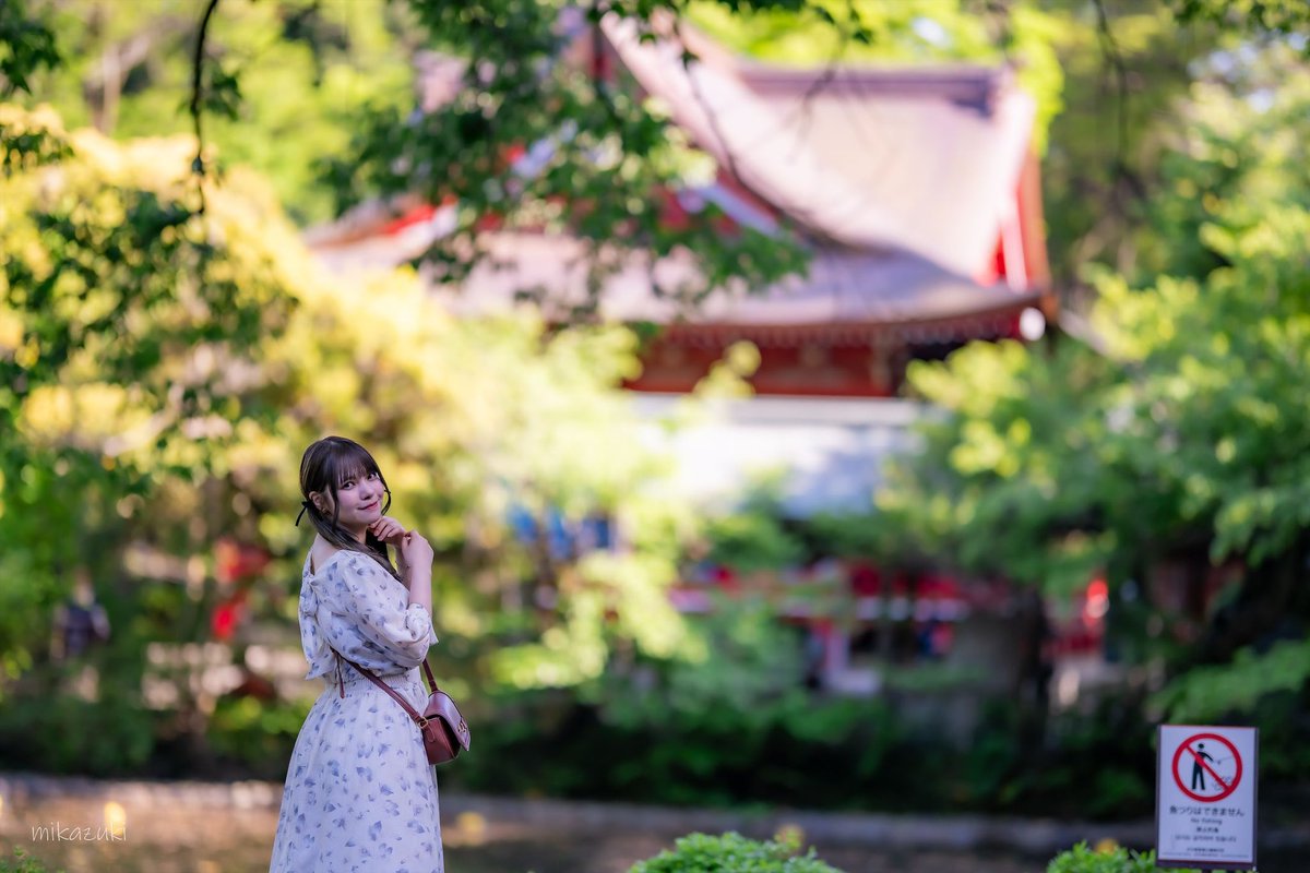 🌳INOKASIRA PARK🌳

model: 桃都みもさん
@nemure_zz 

 #memoria撮影会