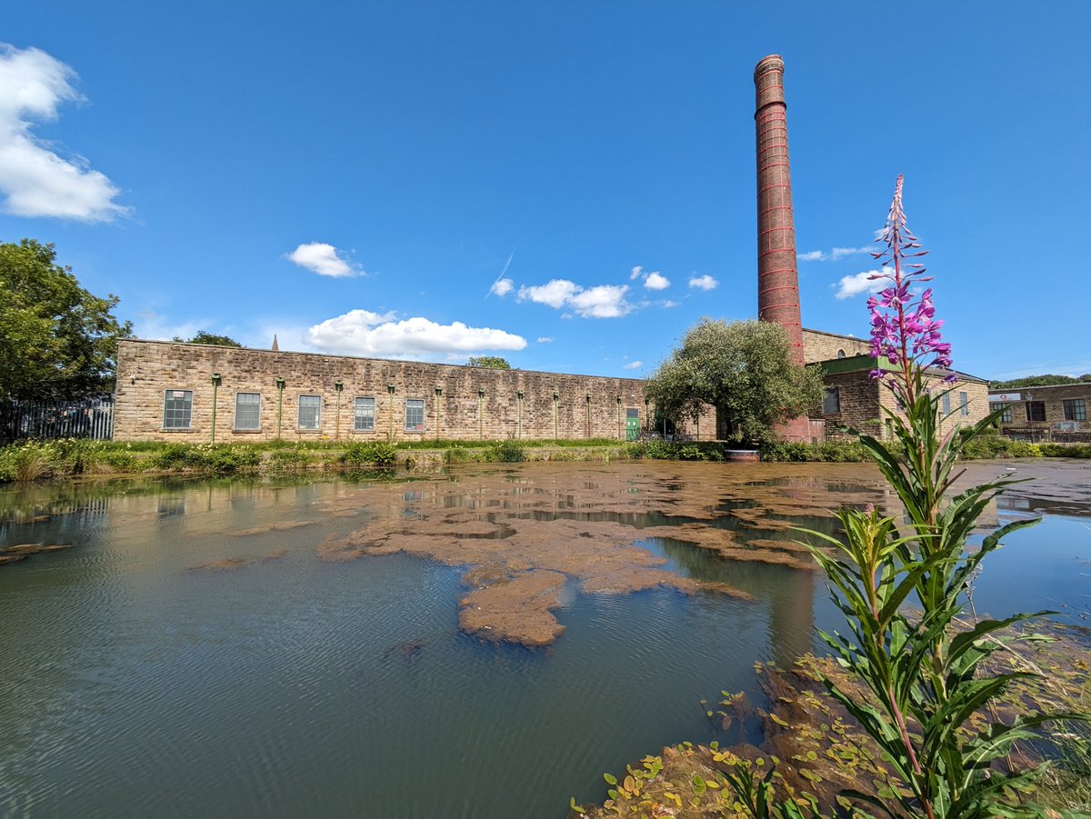 For #NationalGardeningWeek and at Queen Street Mill in Harle Syke, Burnley we have some lovely colours.
Why not visit us. We're open every Wednesday to Saturday between 12 and 4pm.
Adults £5
Children up to the age of 18 go free
lancashire.gov.uk/leisure-and-cu…
#QueenStreetMill #Burnley