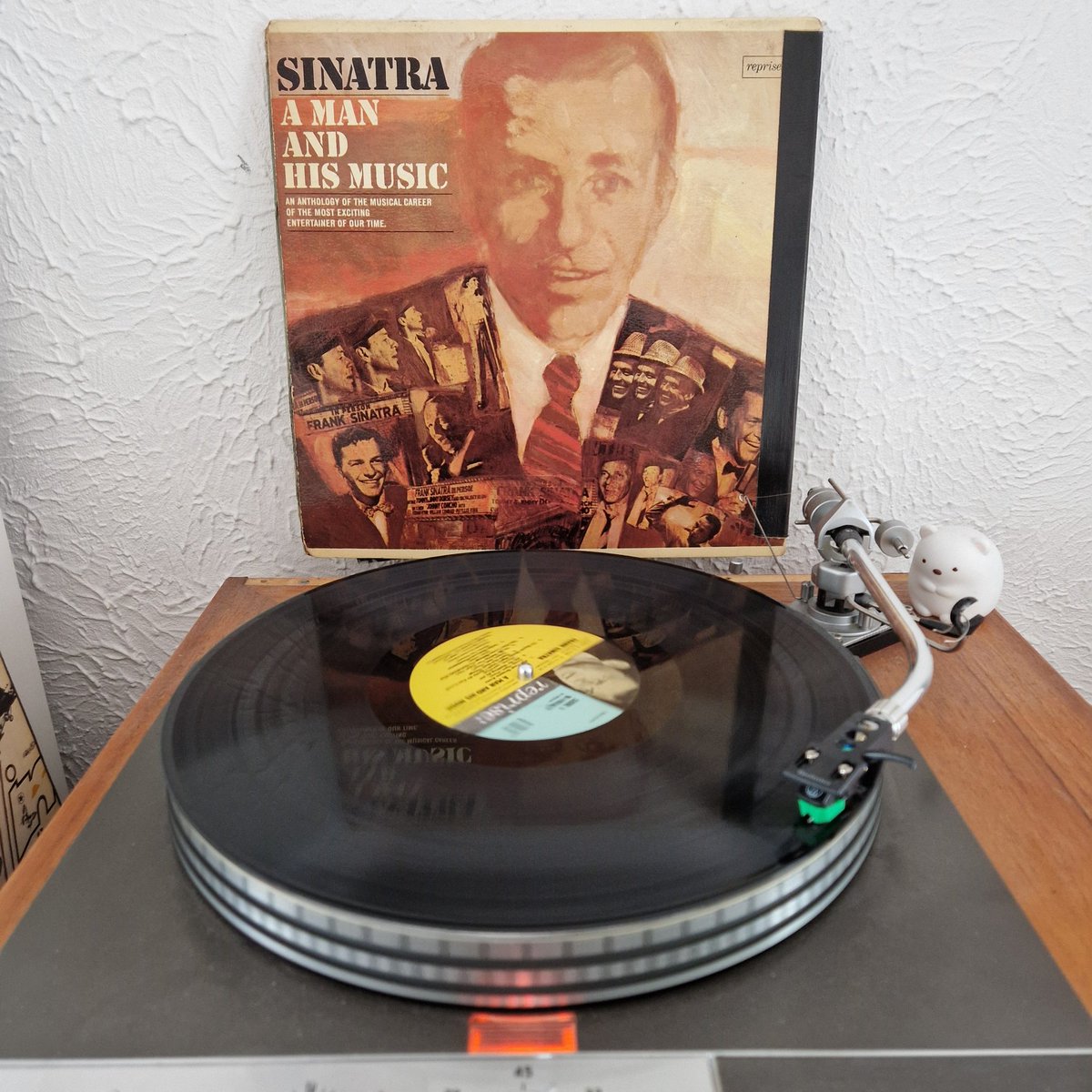 Brighter Day Record Shop tweet media