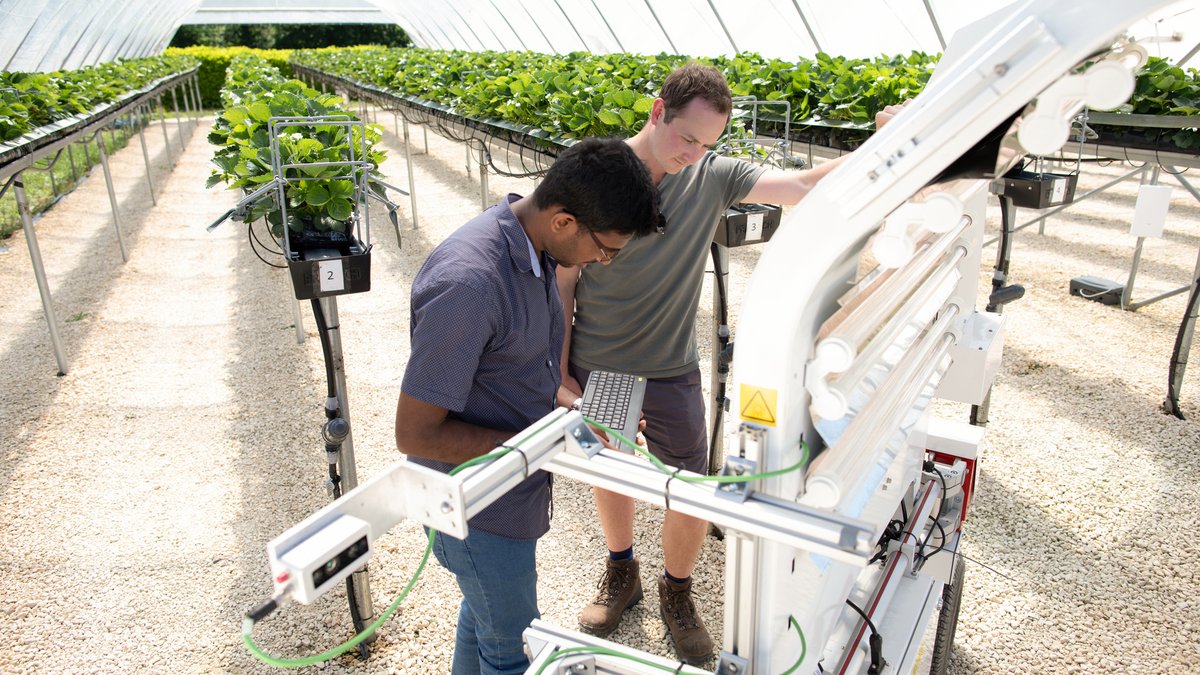 Specialists from the Lincoln Institute for Agri-food Technology, have contributed world-leading expertise to assess how the rapid roll-out of robotics and automation technologies could alleviate labour shortages in the UK's food supply chain. Read more: lncn.ac/Agri-food