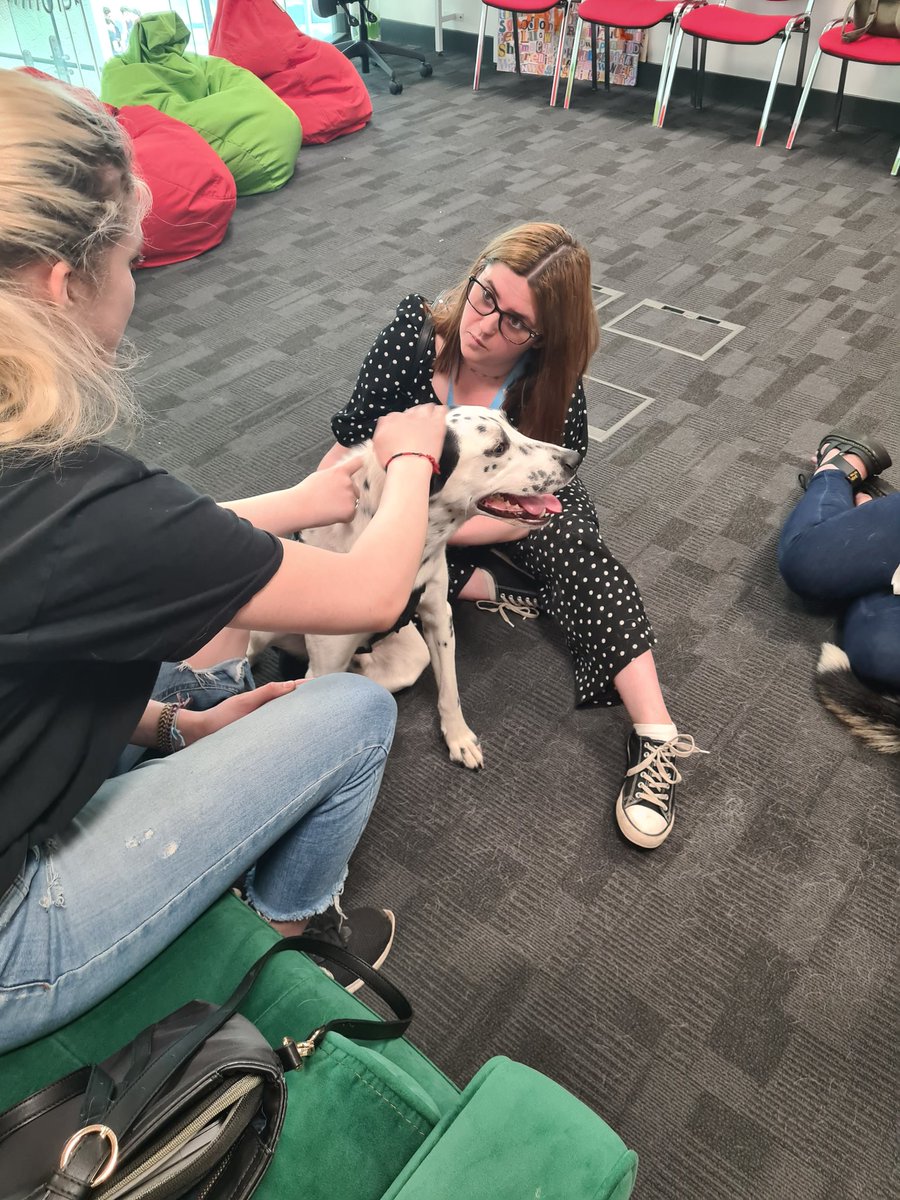 We had 2 special visitors in the library today. Come and meet Lucy and Otis, from @Baxter_Project