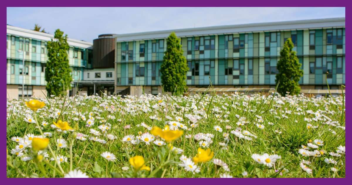 You may have noticed the grass around St Brendan's is taller than usual... we promise it's for a good cause! 🌱 This May, as part of our ongoing commitment to being a sustainable College we are taking part in 'No Mow May' 🌍 💜