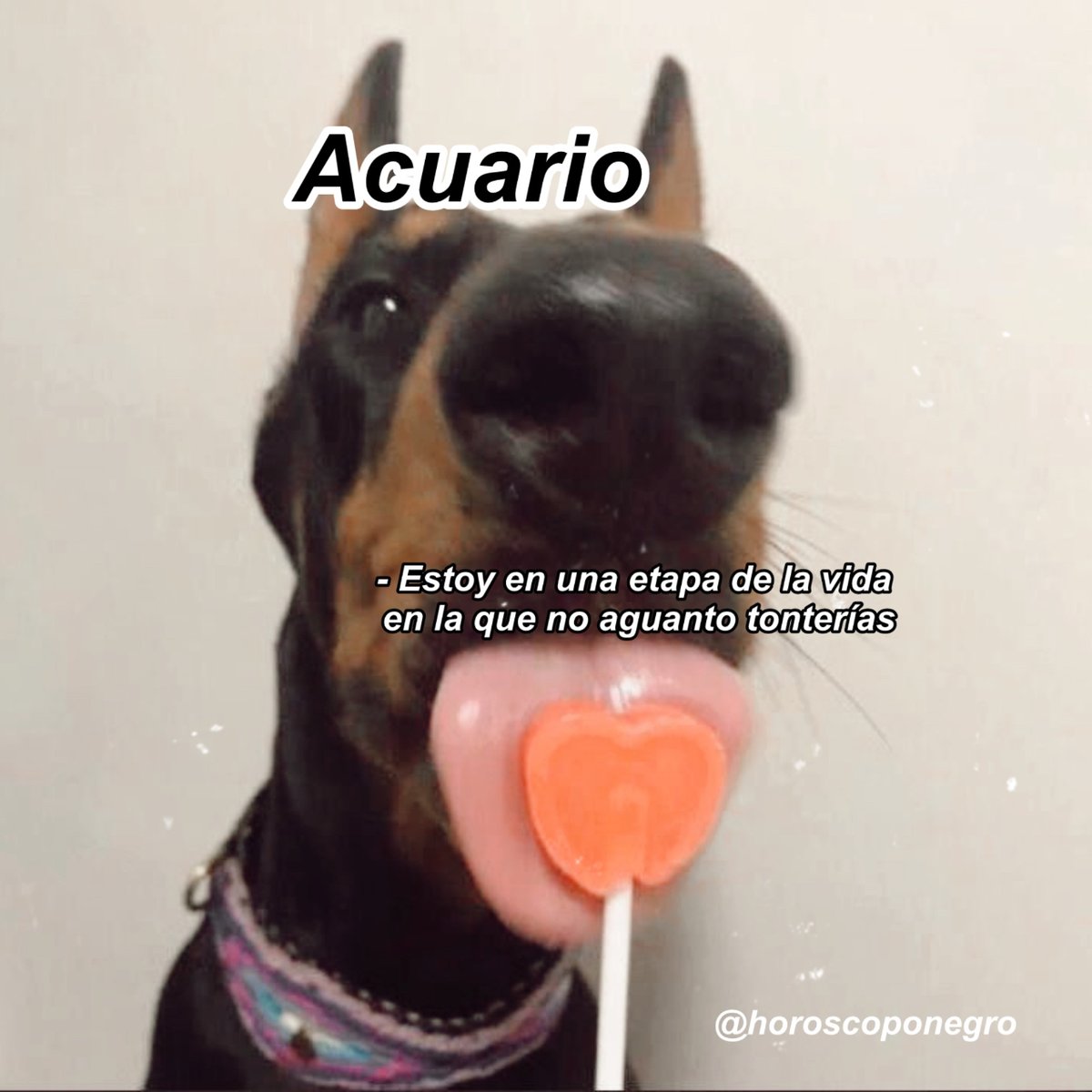 Team Acuario 🖤🔮✨