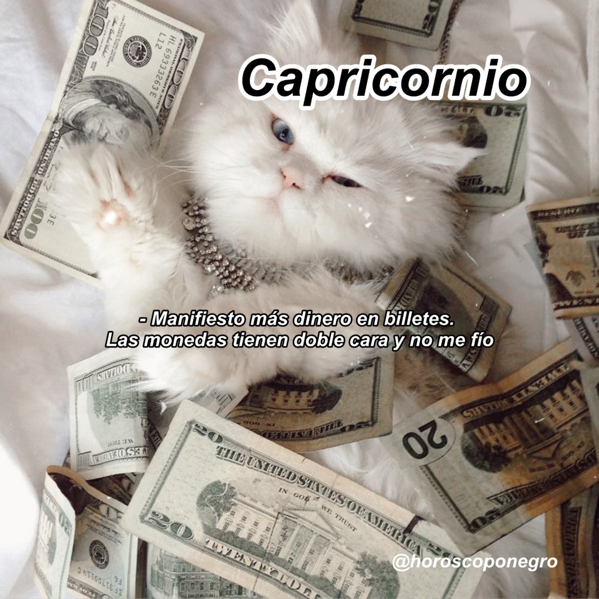 Team Capricornio 🖤🔮✨