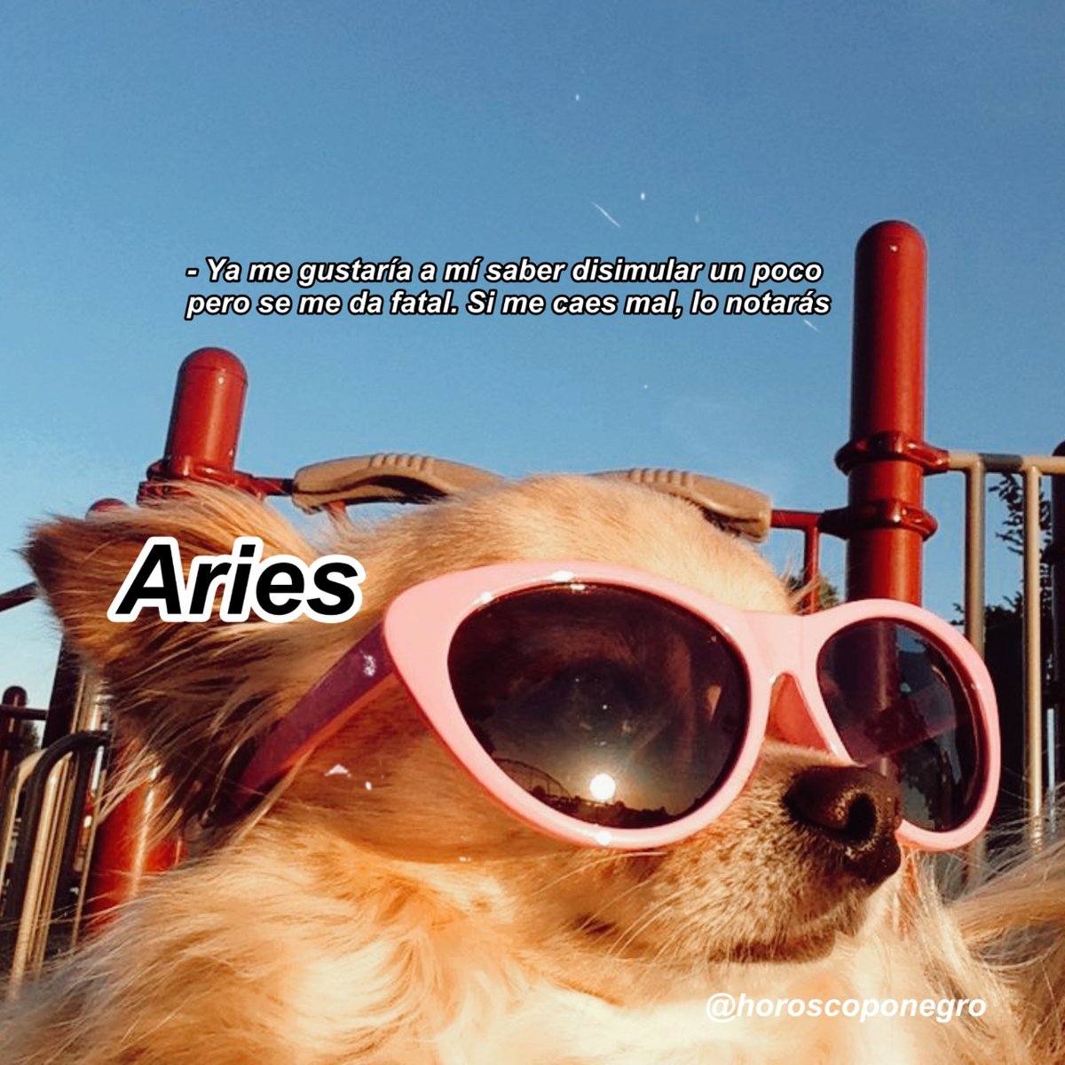 Team Aries 🖤🔮✨