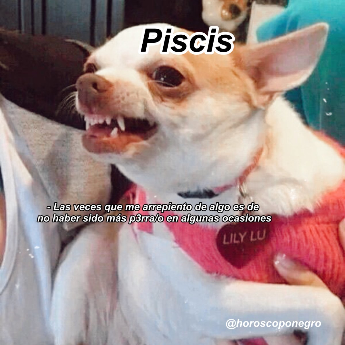 Team Piscis 🖤🔮✨