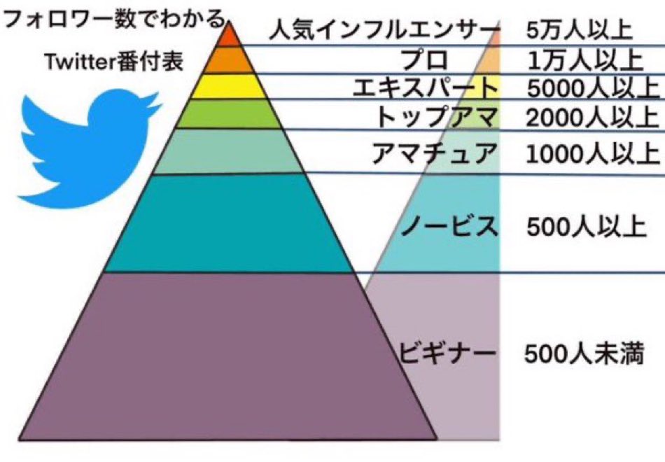 目指せ！！ アマチュア！！