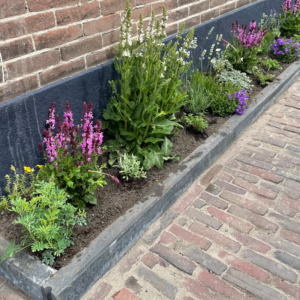 De (zo lijkt het) meest actieve buurt van Utrecht Oost heeft zaterdag weer een geweldig initiatief. Op 11 mei organiseert SPON namelijk het Oudwijk Tegelwippen. Welke straat legt de meeste geveltuintjes aan en wint een mooie prijs? Meer informatie: oudwijk-noord.nl/oudwijk-tegelw…