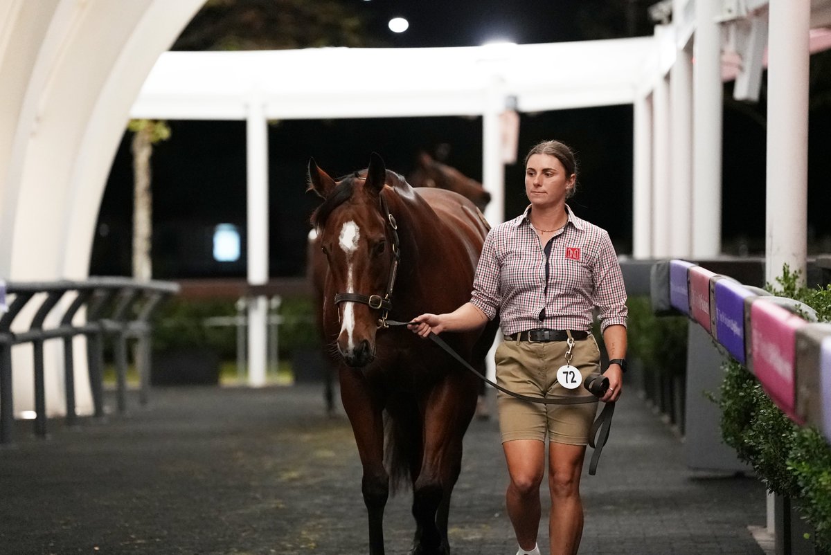 🚨Lot 72 E❌TREMIST sells for $6⃣2⃣5⃣,0⃣0⃣0⃣ at the @inglis_sales Chairman's Sale! A stakes winner & by Australia's most statistically elite sire E❌TREME CHOICE, she knocks down to @silverdale_farm & @AWilliamsBldstk 💪 Congratulations to Rob Heathcote and owners!🍾👏