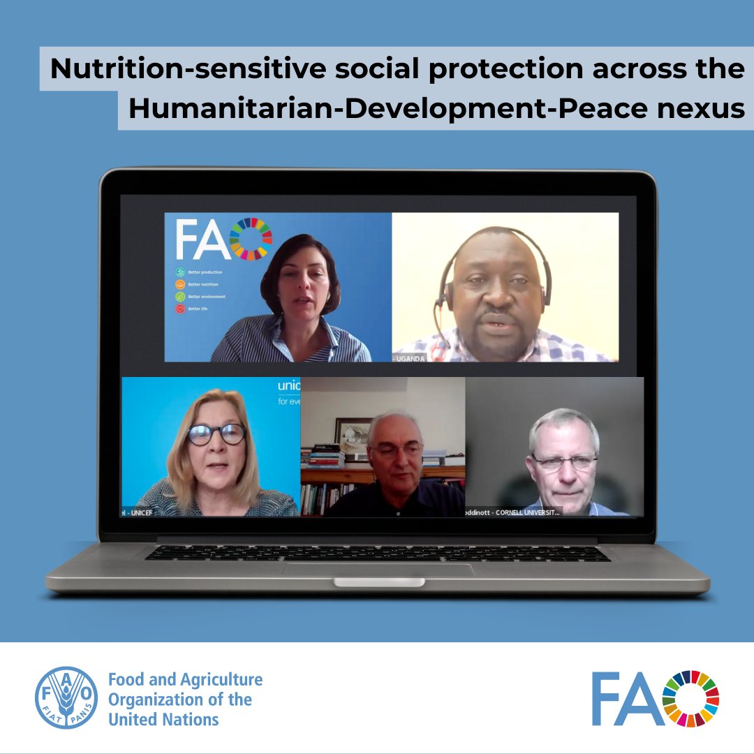 Yesterday, panelists @FAOGeneva & @WFP joint dialogue gave an oversight on how

➡️#socialprotection can contribute to addressing all forms of malnutrition in both development&humanitarian contexts
➡️#socialprotection enables accessibility to healthy diets & better nutrition