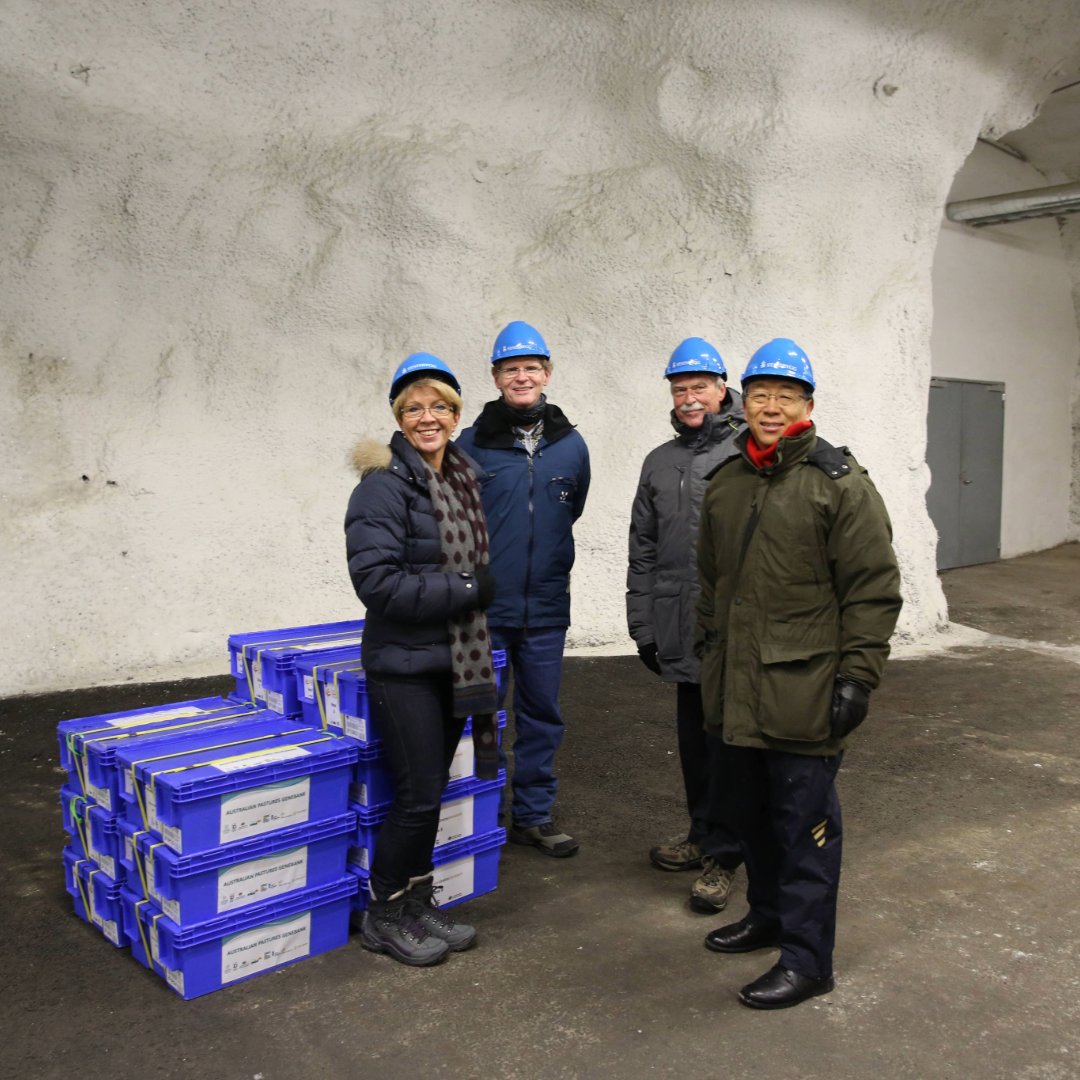 Congratulations to Dr. Geoff Hawtin and Dr. Cary Fowler, two foundational figures of the Crop Trust, for winning the World #FoodPrize24 for their leadership in safeguarding global #cropdiversity and enhancing #foodsecurity worldwide!

Learn more: buff.ly/4dvd6zf