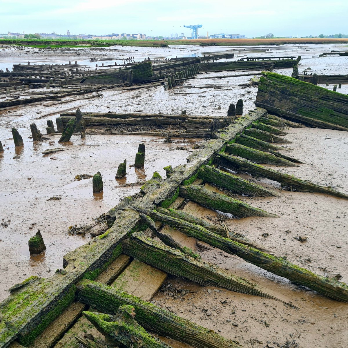 The remains of wooden mud punts on the banks of the Clyde at the Newshot Island Boat Graveyard. 

Cont./

#glasgow #theclyde #glasgowhistory #oldboats #newshotisland #erskine