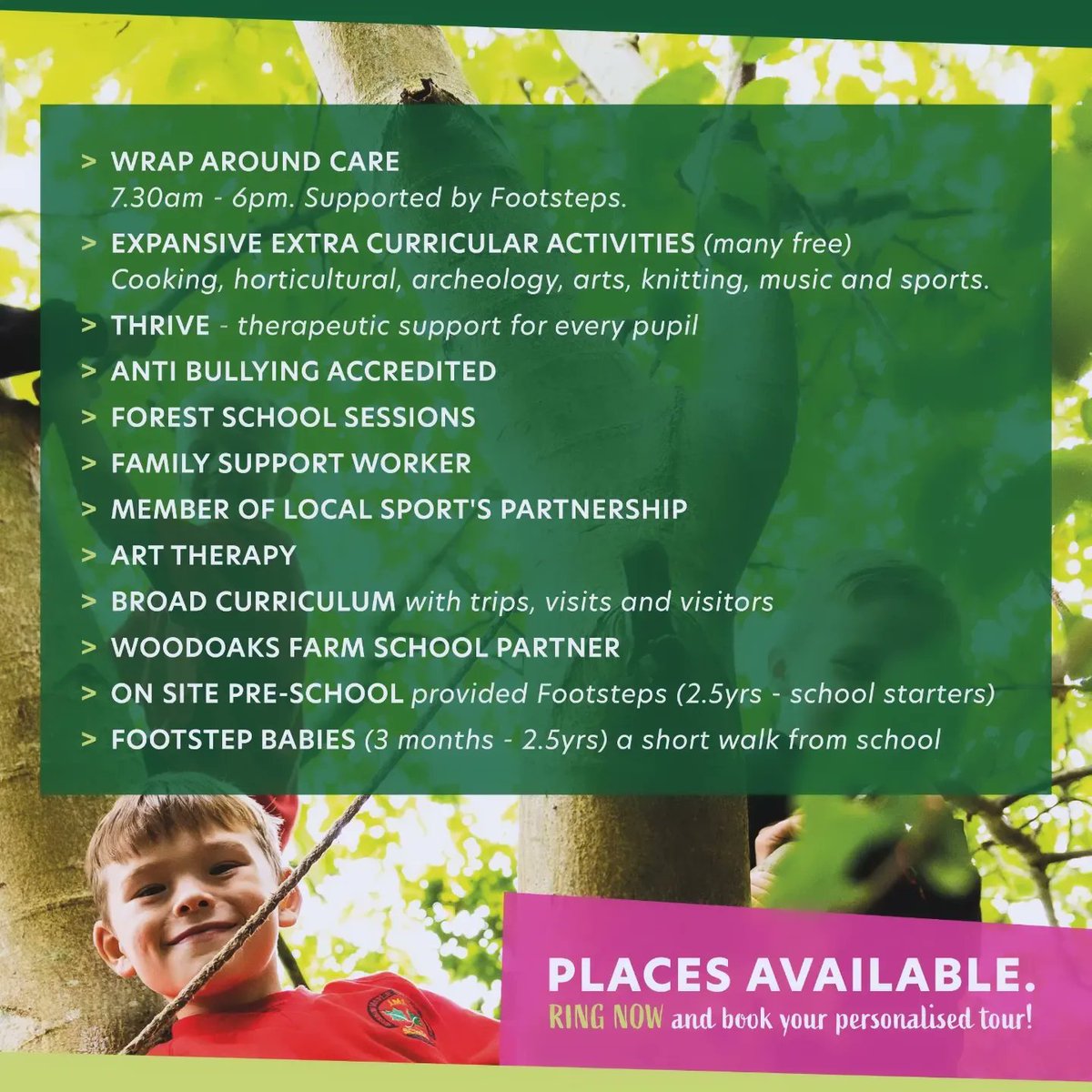 Maple Cross School tweet media