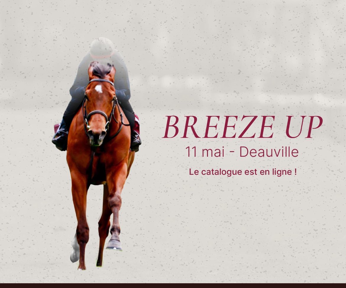 We’re off and running <a href="/InfoArqana/">ARQANA</a> 

Do not miss the breeze !! Watch it live here 

⬇️⬇️⬇️⬇️⬇️⬇️⬇️⬇️⬇️⬇️⬇️⬇️

youtu.be/ngoDlvDRA-s