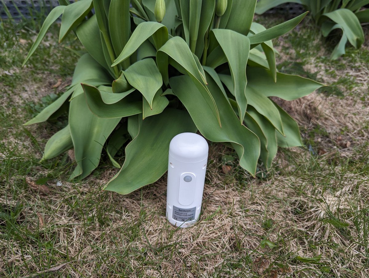 Vi har länge letat en vettig markfuktighetssensor för att kunna avgöra om
växter i trädgården behöver vattnas automatiskt.

Med markfuktighetssensorn QT-07S från Tuya och Zigbee funktionen i den så har vi kanske hittat rätt. 
#tuya #bevattning
automatiserar.se/markfuktighets…