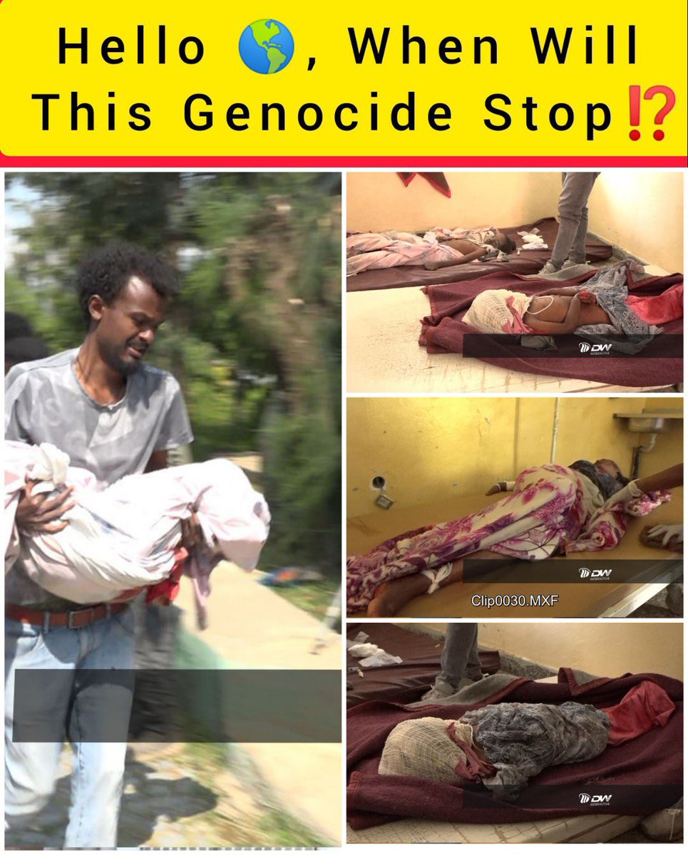 Selective outrage & double standards: how did the US govt become like this? I support independent investigation into crimes but since when is @EthioHRC independent-with director handpicked by Abiy & by Ethiopian govt, etc? Why was there no such call when millions died in #Tigray?