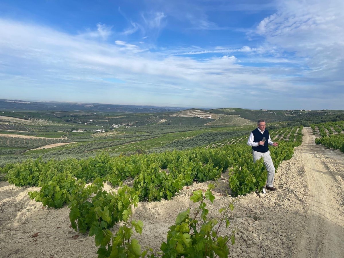 🗣️🔜 ¡Acompaña a nuestro enólogo Bernardo Lucena, en un viaje sensorial único desde la Sierra de Montilla!  
¡Muy pronto en #Vinumplay! ⏯️🍇

#3Miradas #VinodePueblo2021🍷✨ #BodegasAlvear