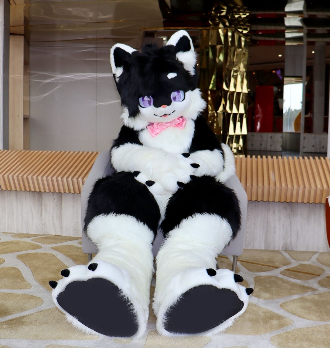 Oh yea confuzzled is 2 weeks away. Huh. 

I'll be that Oreo cat walking around  :>