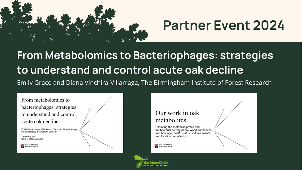 Emily Grace & Diana Vinchira-Villarraga from @BIFoRUoB present 'From Metabolomics to Bacteriophages: strategies to understand and control acute oak decline'. 🌳🌳🌳 #PlantHealthScience #ActionOakPartnerEvent2024 #PlantHealthWeek
