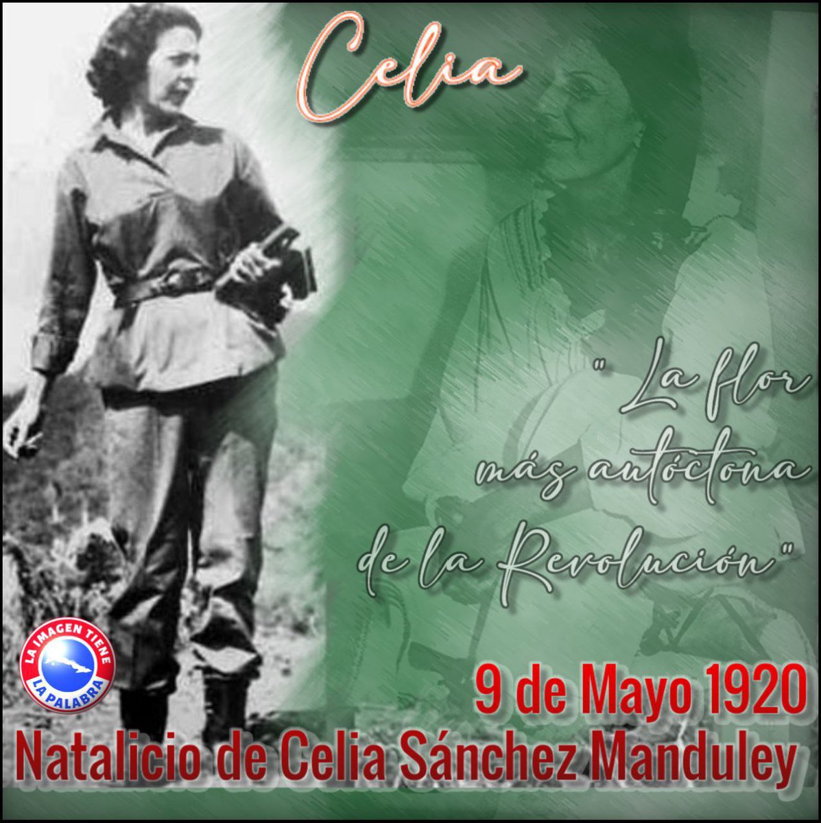 9 de mayo, aniversario 104 del natalicio de Celia Sanchez Manduley, valerosa mujer y destacada revolucionaria. Celia “no fue la sombra de Fidel, sino la luz” #CubaViveEnSuHistoria #DeZurdaTeam