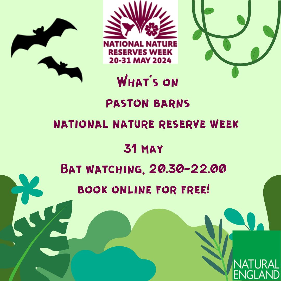 💥It's our final event reveal for #NNRweek!

🦇 Join National Nature Reserve staff & ecologist from @NorwichBats at Paston Great Barn, 31 May, for an evening of bat watching!

🔦Detectors & equipment provided to identify species!

📲 Book in our bio

#nature #norfolk #NatureLover