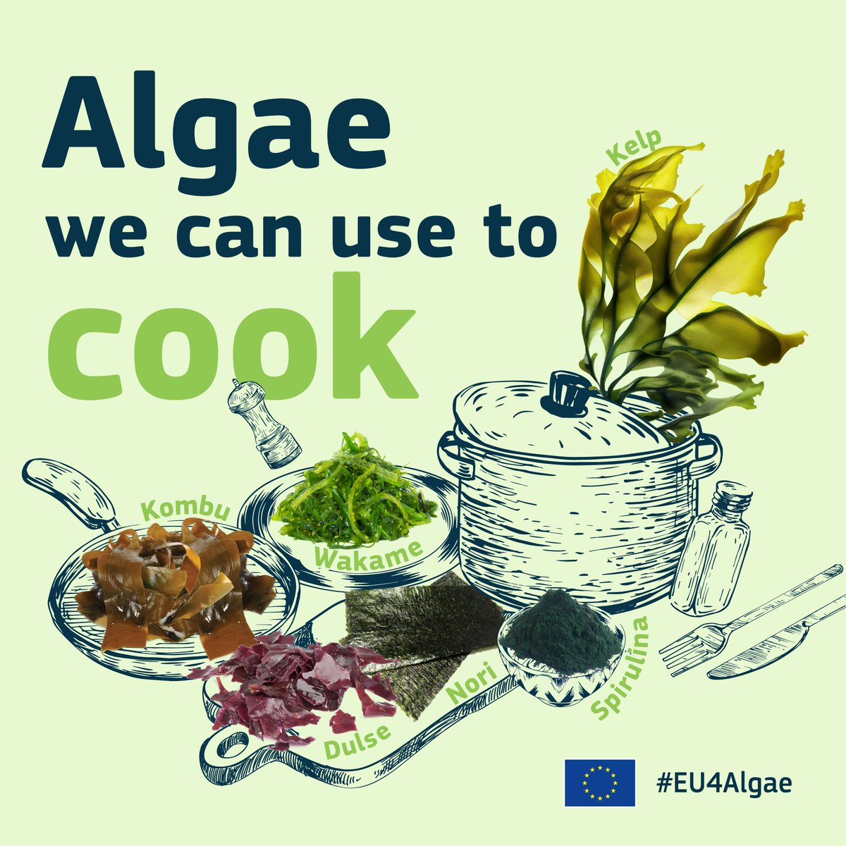 Looking for a new twist on classic recipes? Swap out traditional ingredients for #algae alternatives! 🥗🍽️ 🌱 From Kelp, Kombu, and Nori to Sea spaghetti, Spirulina, and Wakame, you can boil, bake, grill, fry them…the choice is yours. 🤝​💚 #EU4Algae #EMFAF