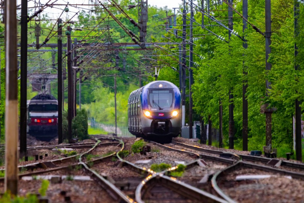 MOUTON_ferro's tweet image. Gros plan !

#regio2n #terhdf #orrylavillecoye