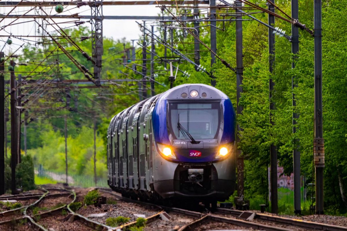 MOUTON_ferro's tweet image. Gros plan !

#regio2n #terhdf #orrylavillecoye