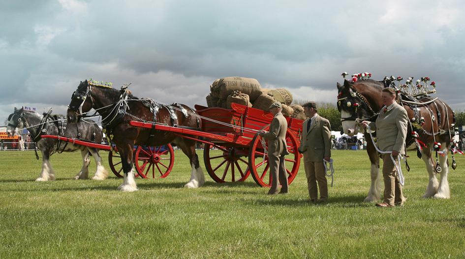 Scampston Hall will once again be hosting this prestigious Game & Country Fair this weekend. dlvr.it/T6dbbD 🔗 Link below