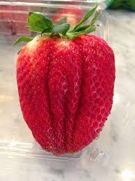 @GeoWieland Erdbeeren?