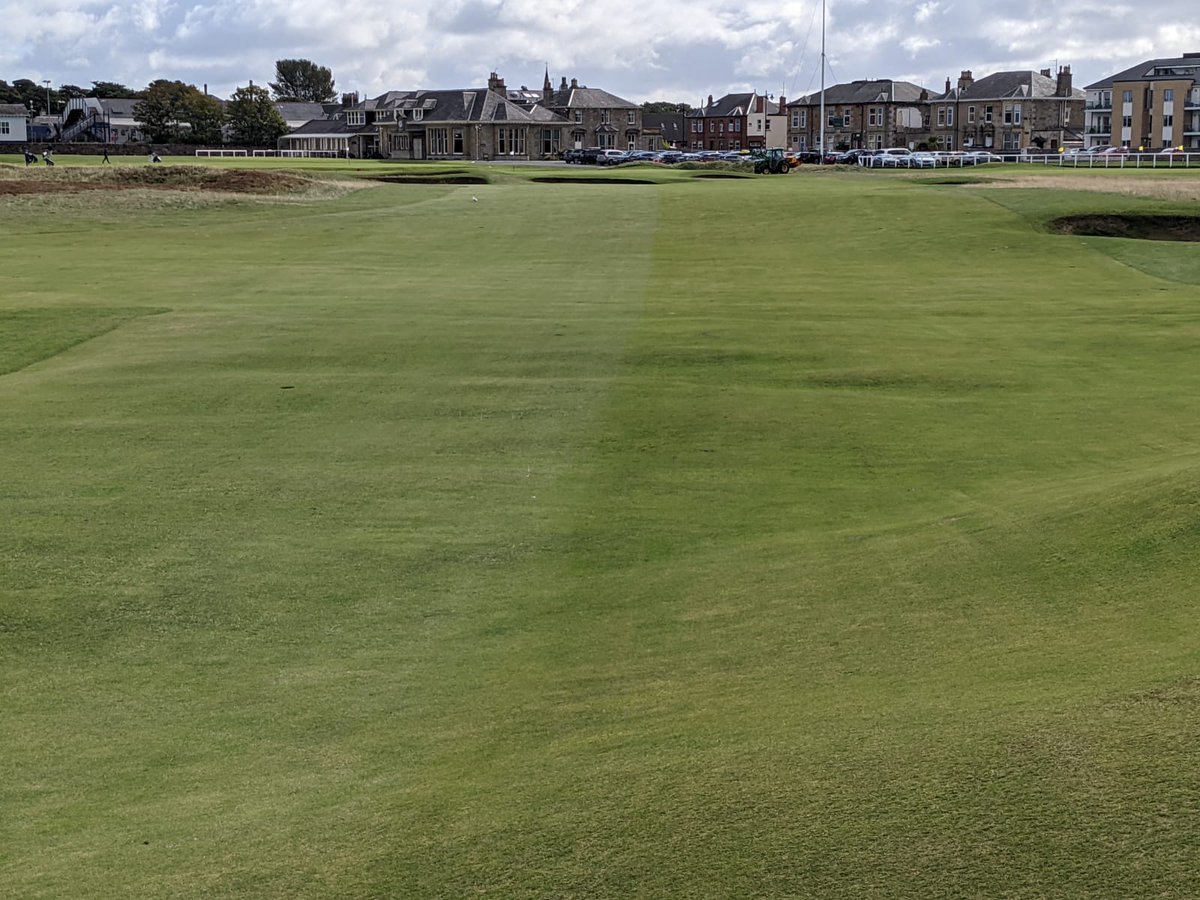 David Feeney tweet media