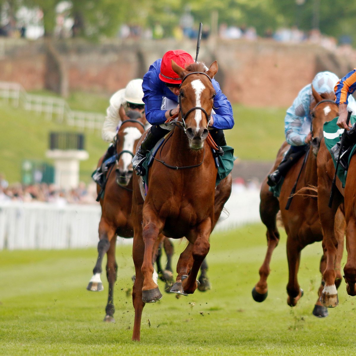 ❓Did you know❓ 6⃣ out of the last 8⃣ winners of the Cheshire Oaks blossomed into Group 1 fillies! 🧚Can WALDGEIST's Forest Fairy continue this stellar streak? 🌳 She's currently as short as 8/1 second favorite for the Oaks! @A_C_Elliott @ChesterRaces @PhilipHore…