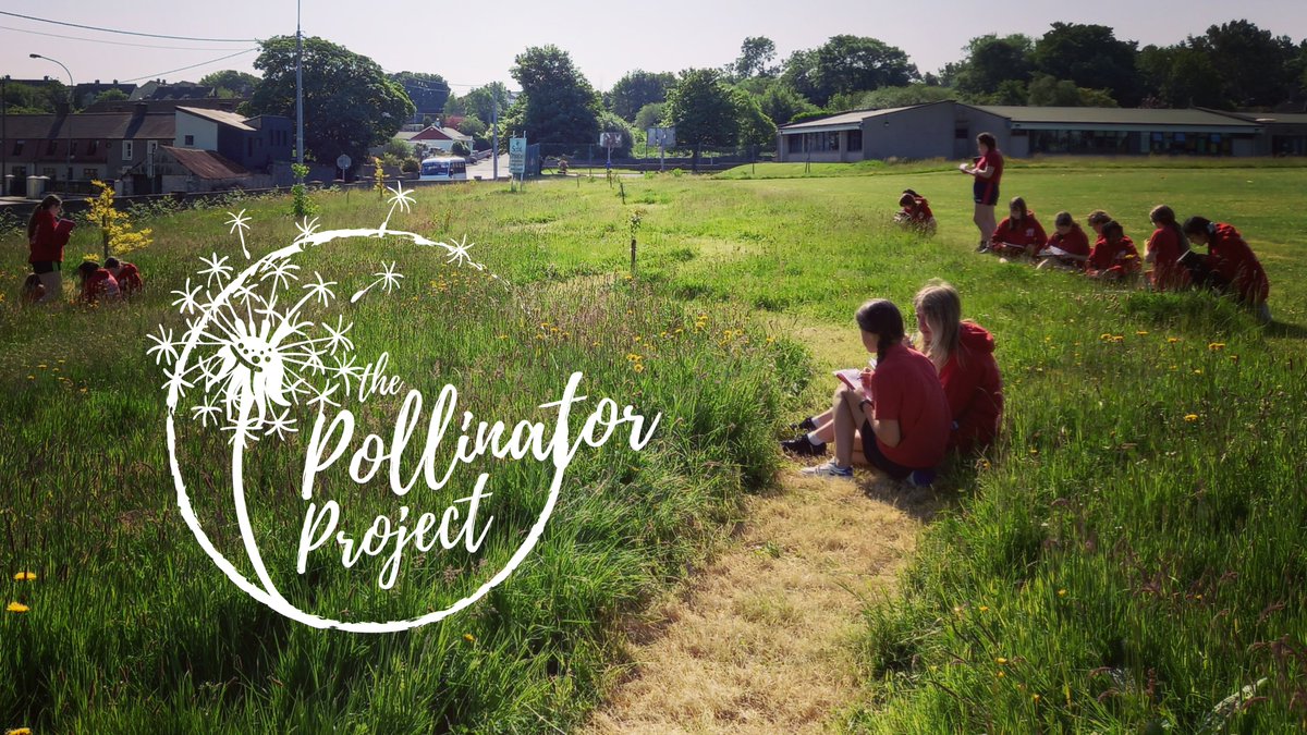 🦋Are you doing outstanding work to help #pollinators? Do you have an impressive #NoMowMay meadow? Show us! 🐝We're looking for a winning school of the Gold Bee Trophy & a €500 biodiversity fund. Check out our website for how to enter: biodiversityinschools.com/pollinator-pro… #BeeChampions